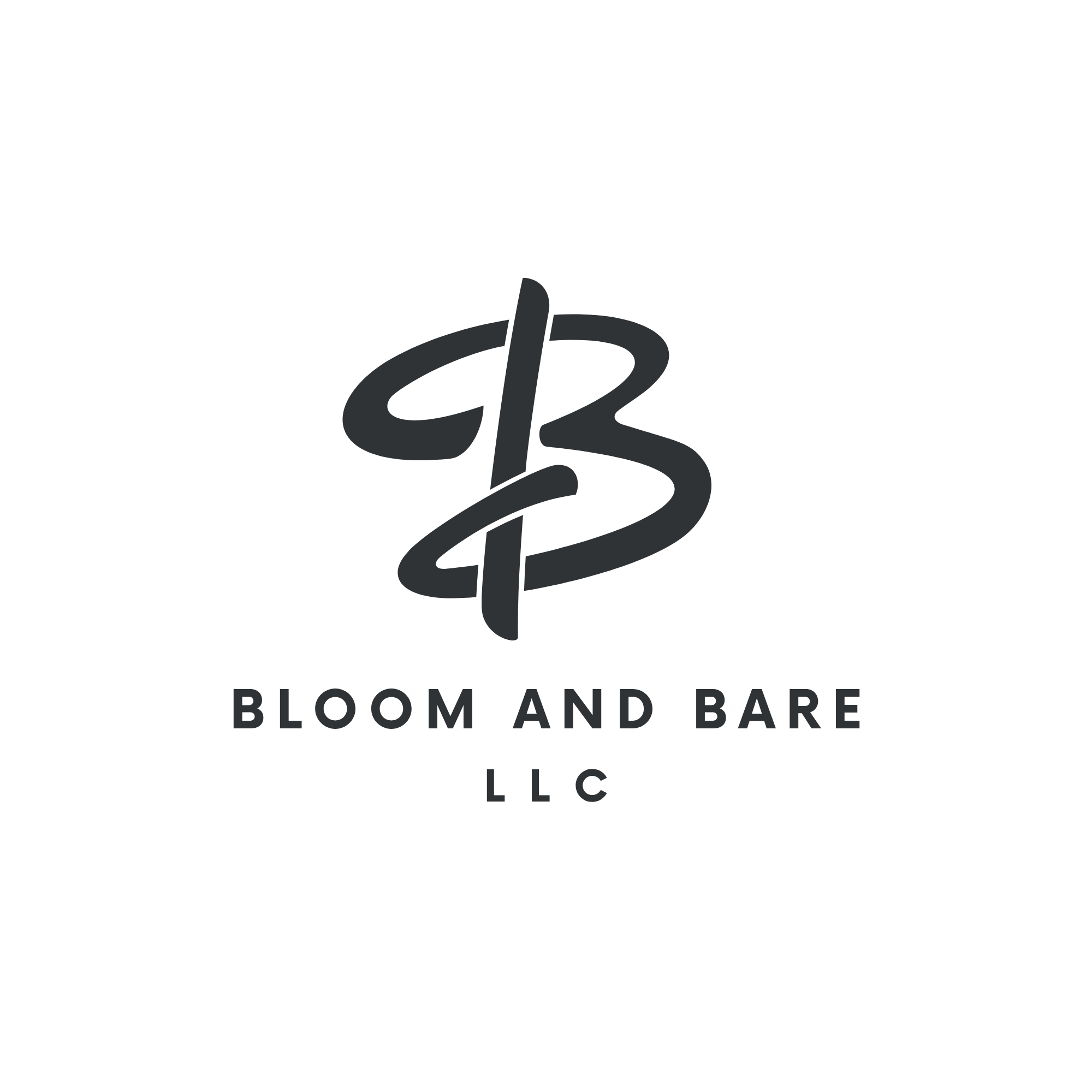 white and black modern initial letter b logo